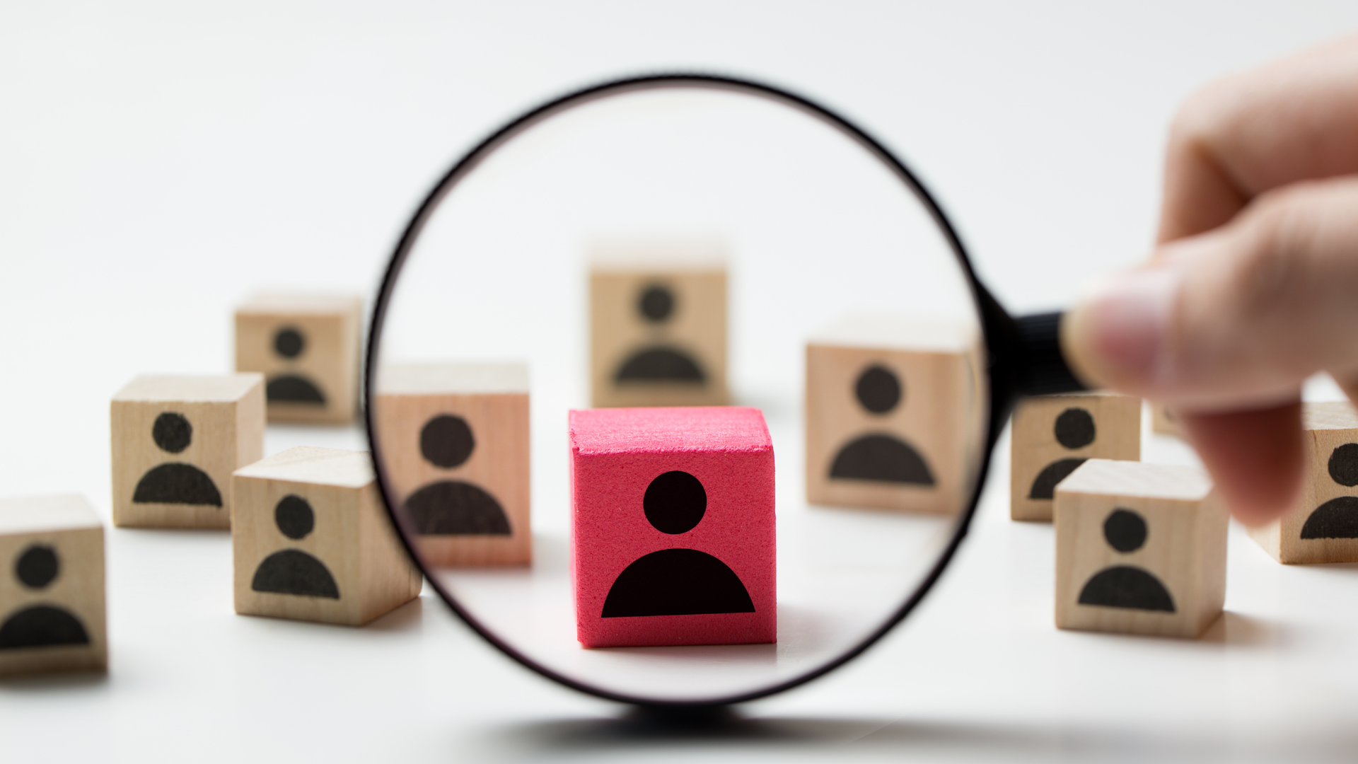 Executive Search & Recruitment